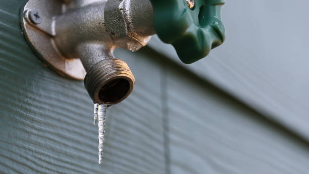 Best Shower Repair Services  in Southwood Acres, CT